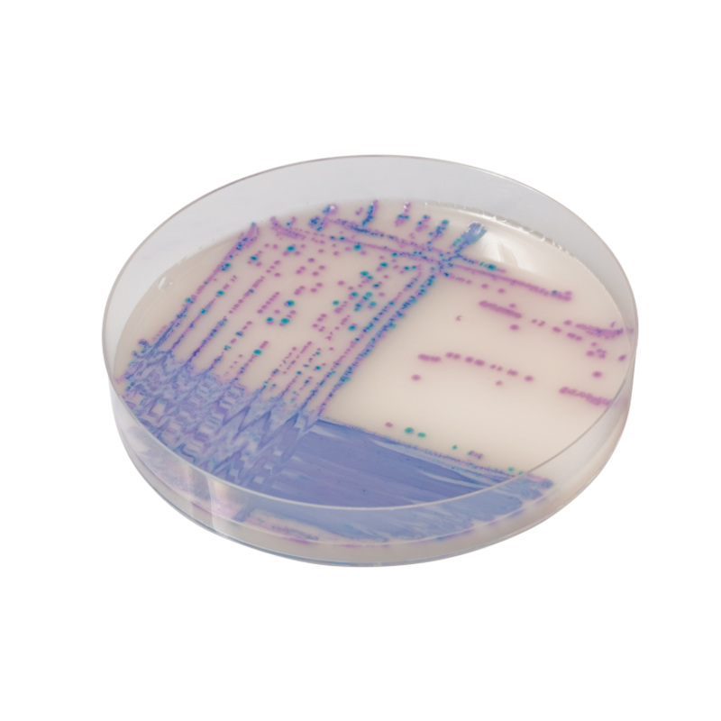 Sanimed -m CHROM Salmonella Plus